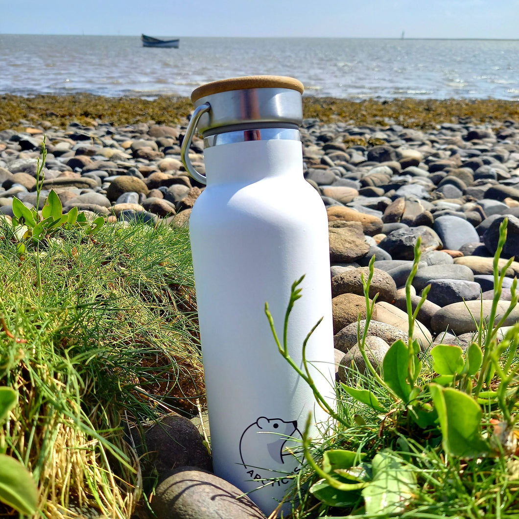 Sleek Arcticus Insulated & Reusable Water Bottle