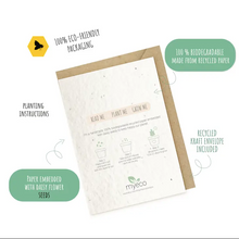 Load image into Gallery viewer, Watercolour Christmas Tree- Plantable Christmas Card