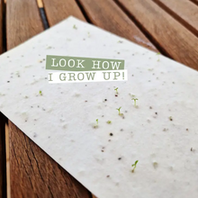 Load image into Gallery viewer, Green Forest- Plantable Christmas Card