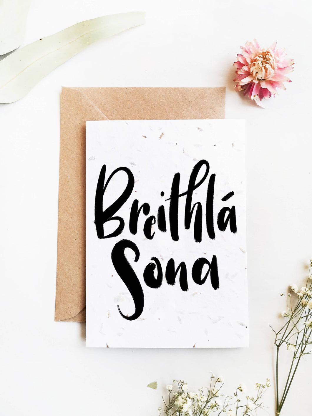 Breithlá Sona Irish Plantable Birthday Card