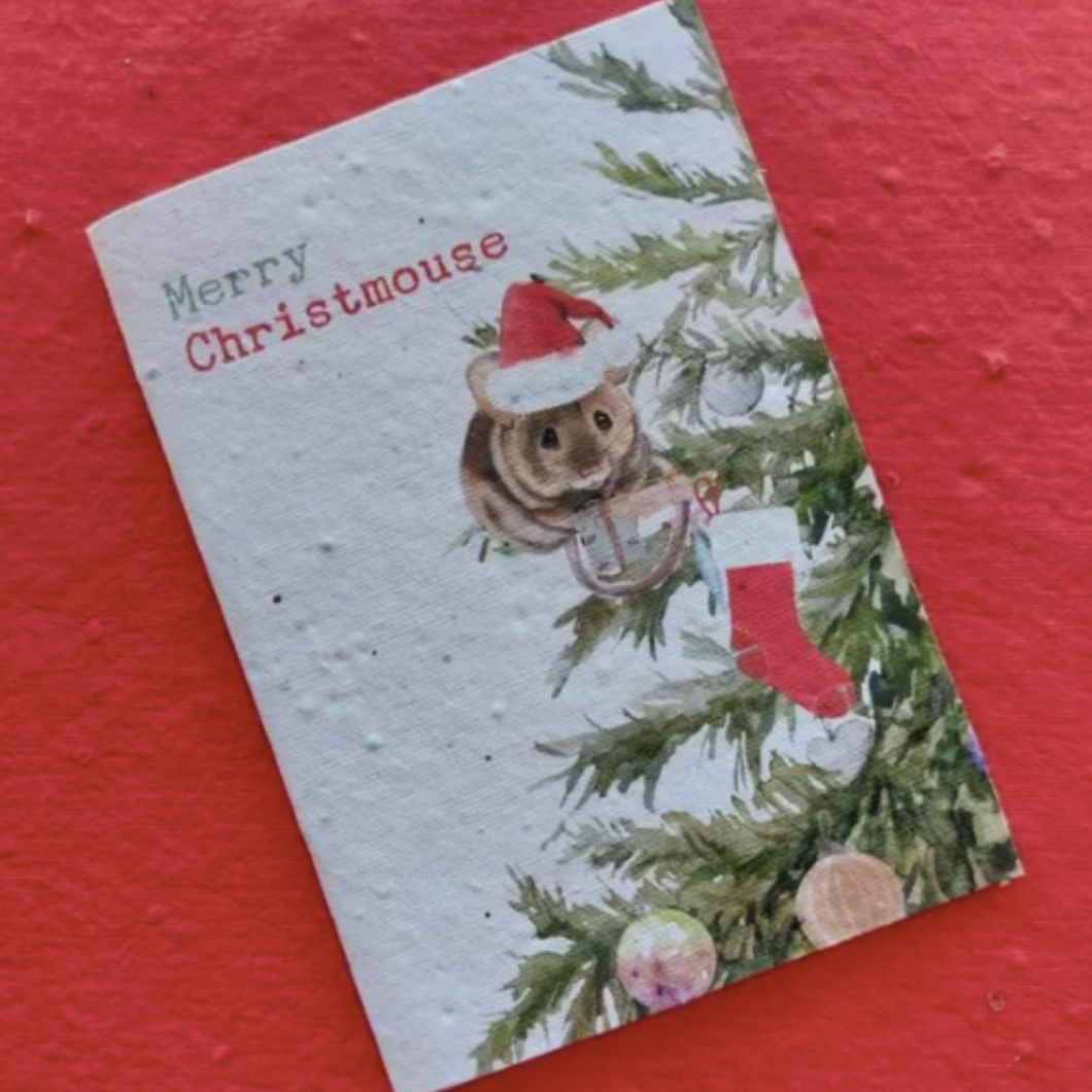 MOUSE- PLANTABLE WILDFLOWER CHRISTMAS CARDS Greeting & Note Cards OH MY GOOD Ireland